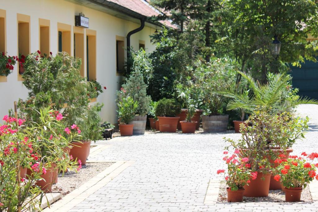 Levanda Panzió Kópháza Exterior foto